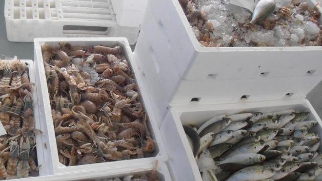 Scatta il fermo pesca: durerà 43 giorni