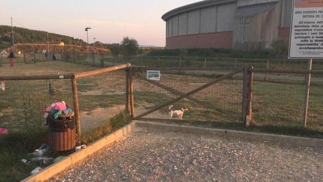 Quegli escrementi dei cani... dimenticati