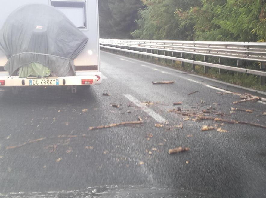 Rami finiscono in strada, paura sulla Variante 