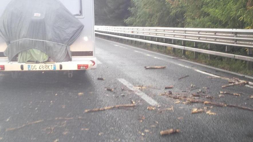 Rami finiscono in strada, paura sulla Variante