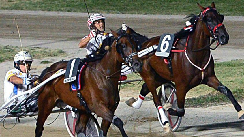 Trotto. Stasera Samba Bi da battere nonostante i 20 metri di penalità