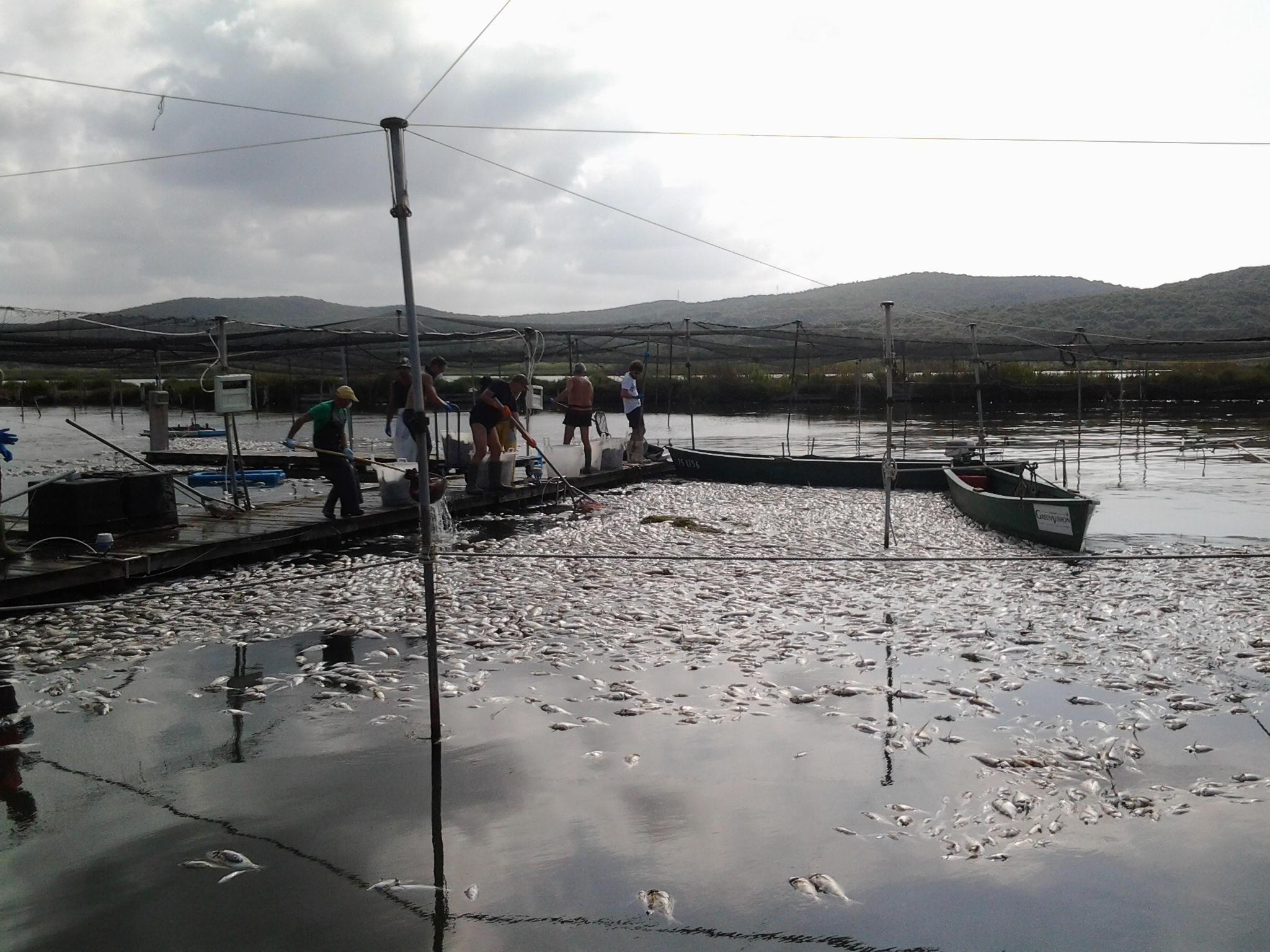 La laguna durante l'emergenza dell'anno scorso 