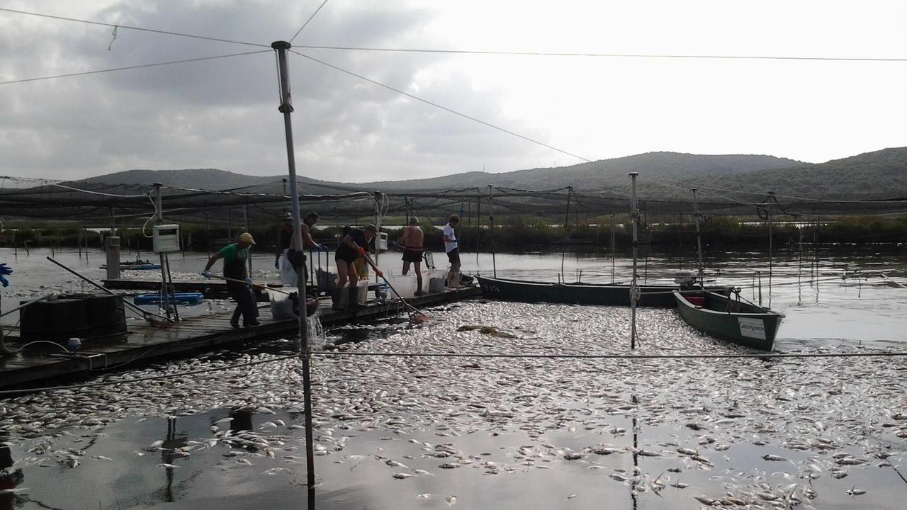 La laguna durante l'emergenza dell'anno scorso