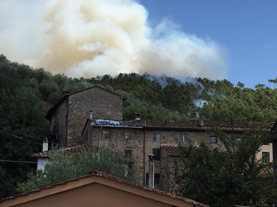 Il rogo a Massa Macinaia (Foto di Greta Benedetti da Facebook)