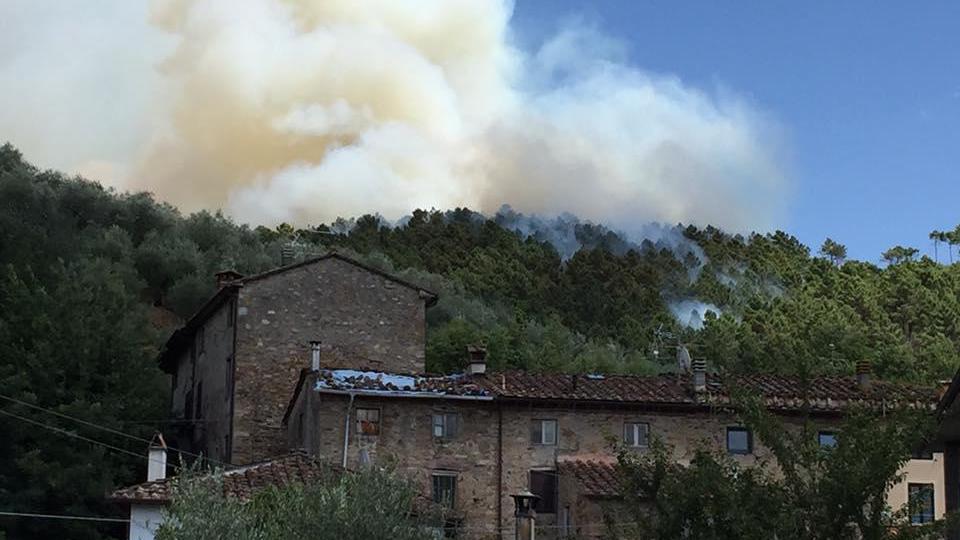 Il rogo a Massa Macinaia (Foto di Greta Benedetti da Facebook)