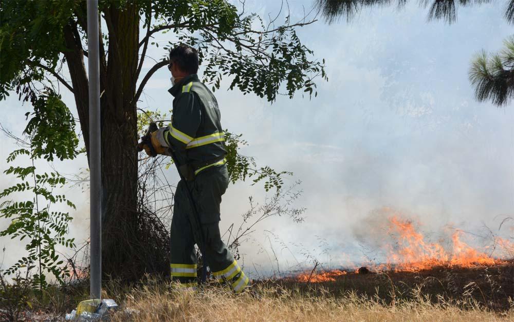 Incendi, massima allerta della protezione civile in Sardegna