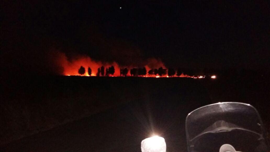 Incendio alla Mazzanta, sul posto 4 squadre antincendio