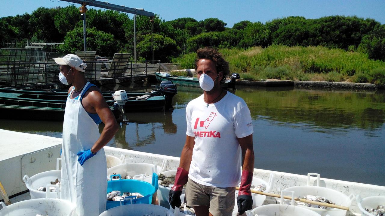 Pescatori impegnati nella rimozione dei pesci morti nella laguna di Orbetello