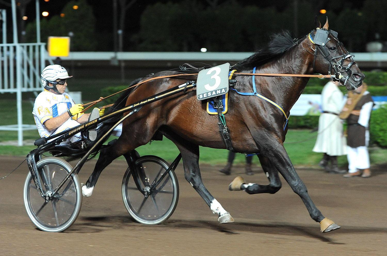 Mack Grace Sm (foto Rosellini)