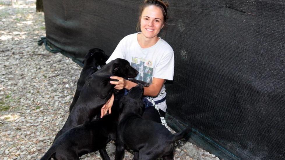 Cani, allarme abbandoni a Modena: in un mese 74 recuperi del canile