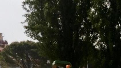 Verde pubblico, via al nuovo appalto