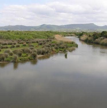 Un percorso naturalistico nella foce del Coghinas 
