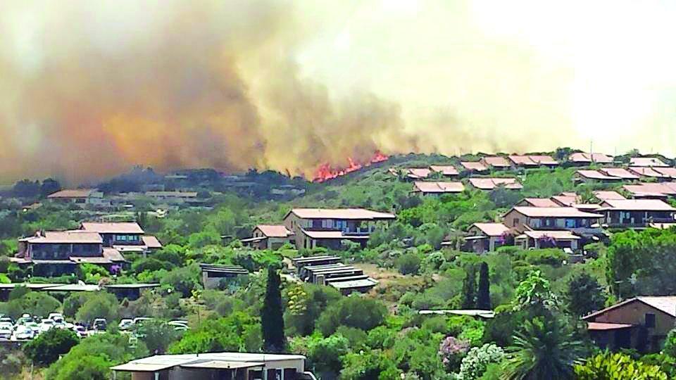 Due case distrutte, decine di ettari inceneriti, paura: il fuoco devasta un pezzo di Gallura