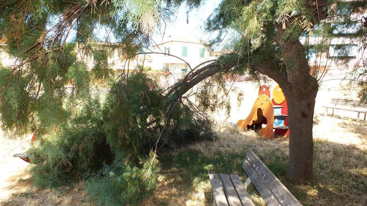 Il parco di via Silvestro Lega a Salivoli (foto PaBar)