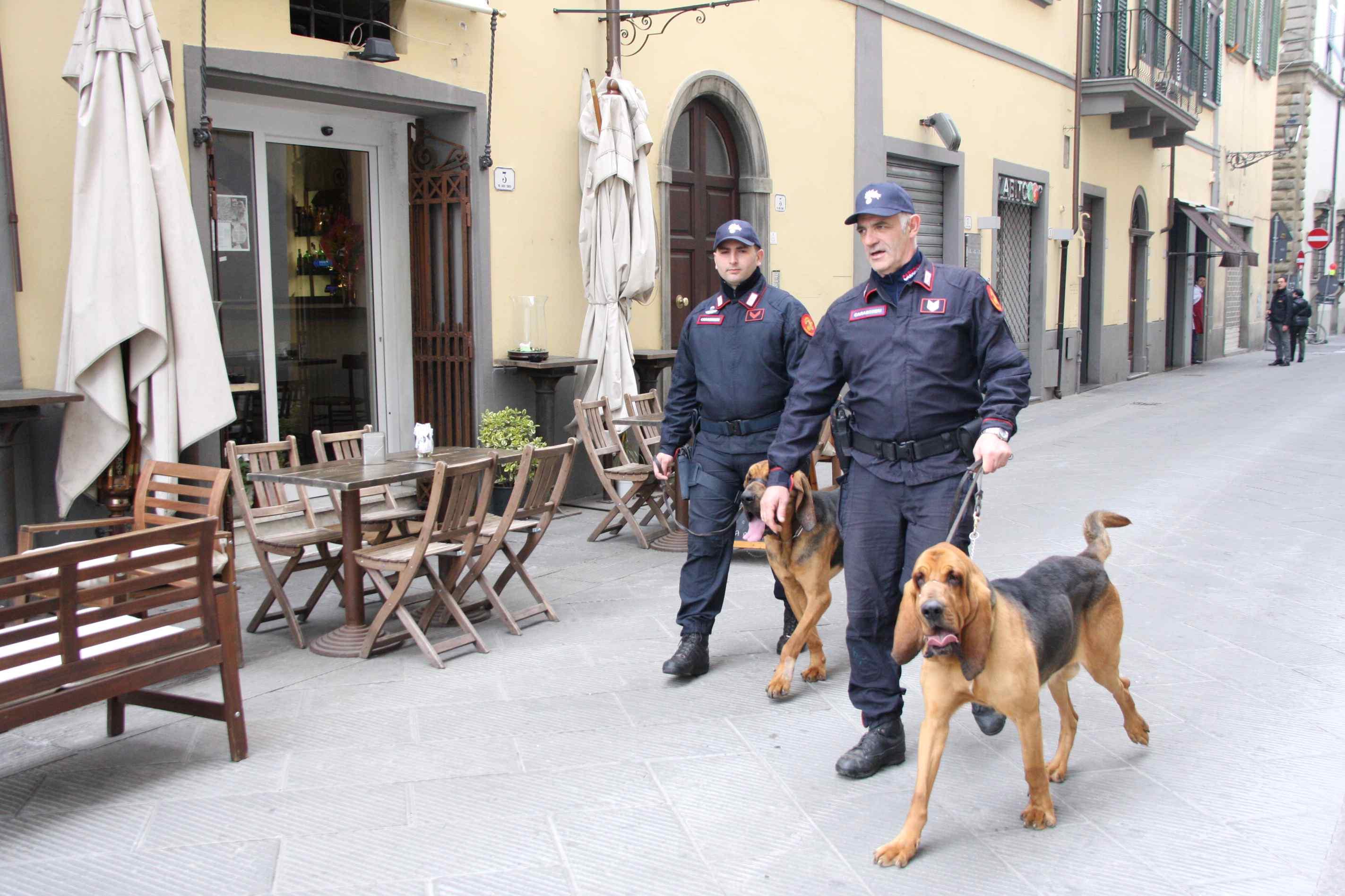 Carabinieri in azione coi cani anti-droga (foto d'archivio)