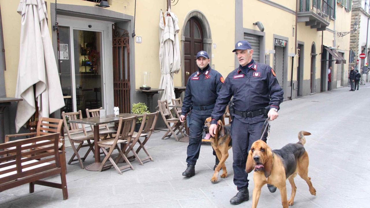 Carabinieri in azione coi cani anti-droga (foto d'archivio)