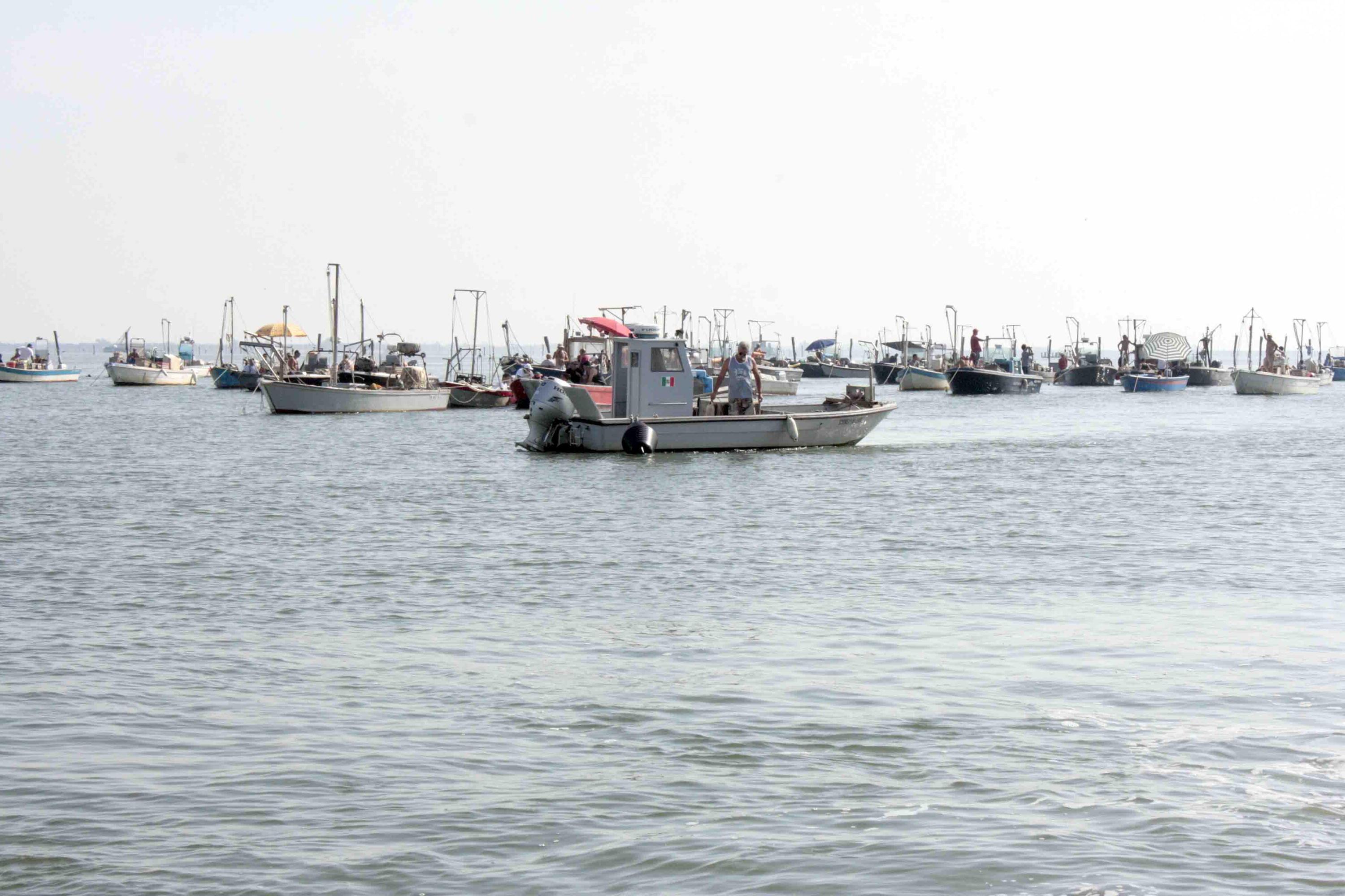 Barche di pescatori nella Sacca