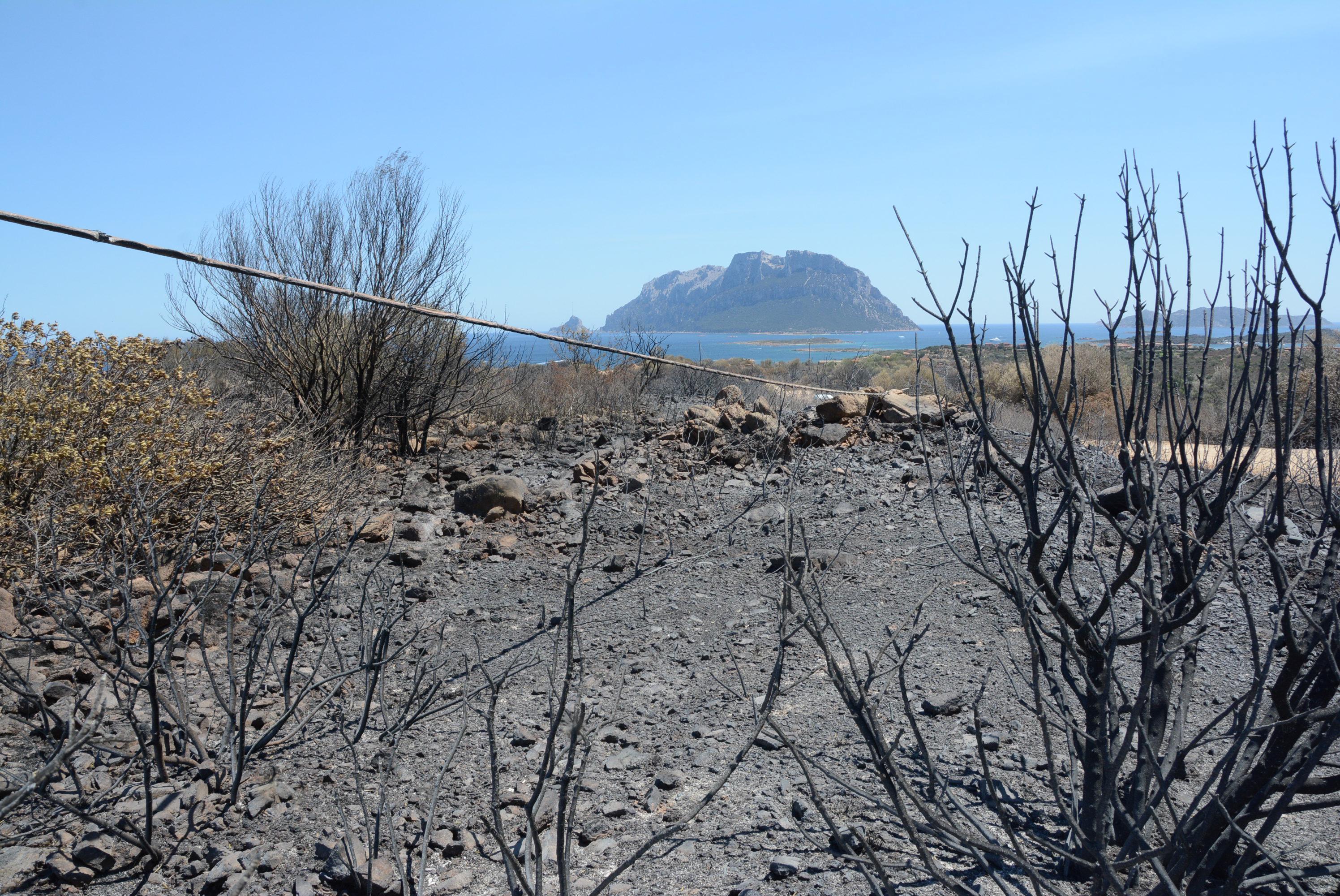 Il paesaggio lunare a Costa Corallina dopo l'incendio, con il mare e Tavolara sullo sfondo (Foto Gavino Sanna)