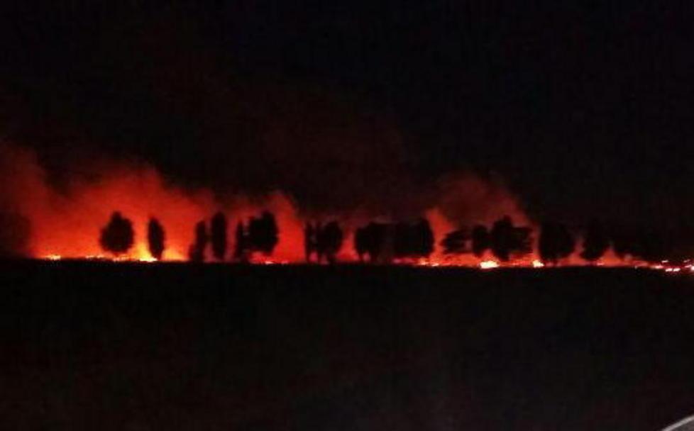 Cinque ore per domare le fiamme 