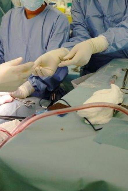 Sesso estremo col bisturi: «Il medico venga processato» 