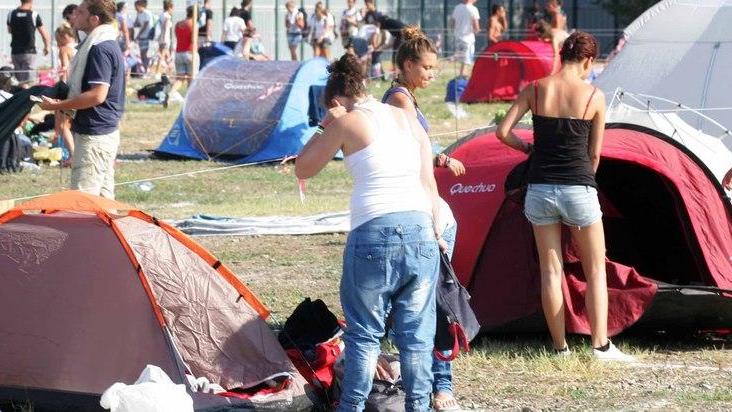 Campovolo 2015, a ruba le tende: è caccia a una piazzola