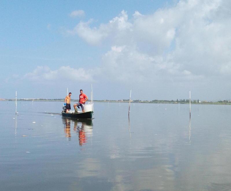 Laguna, un piano di rilancio 