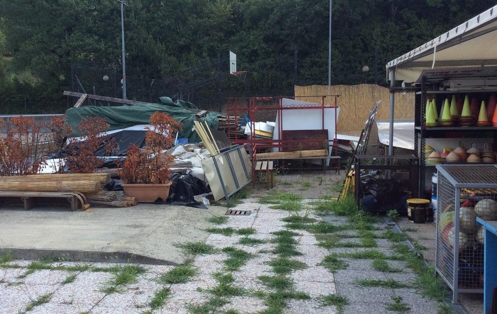 «Sos, Legno Rosso in abbandono» 