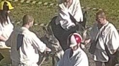 Regole troppo costose addio Palio dei ciuchi