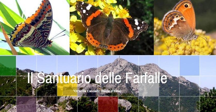 Ecco l’“app” per scoprire le farfalle 