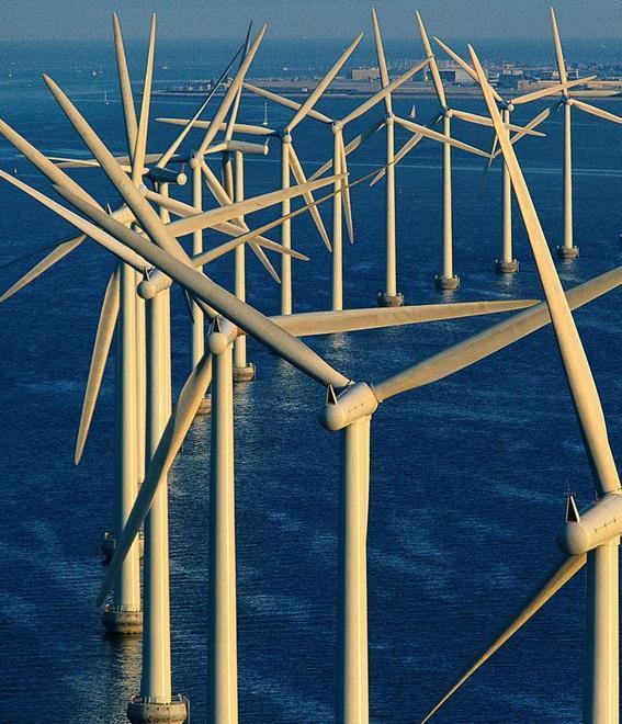 La green economy diventa un trampolino per migliorare i fatturati