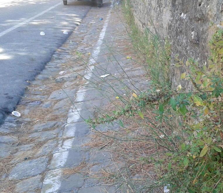 Nasce il comitato contro il degrado 