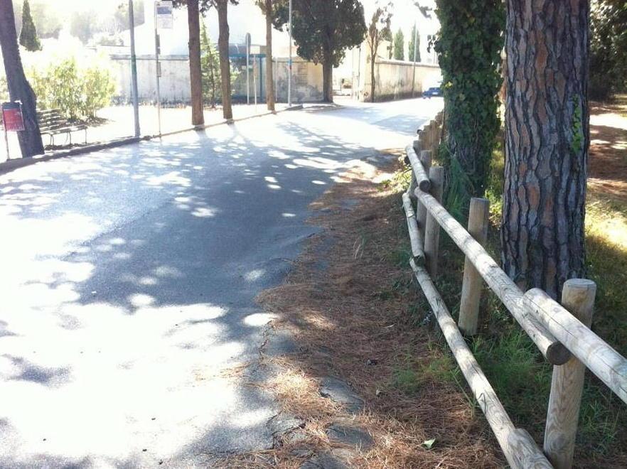 Trecento firme contro buche e degrado 