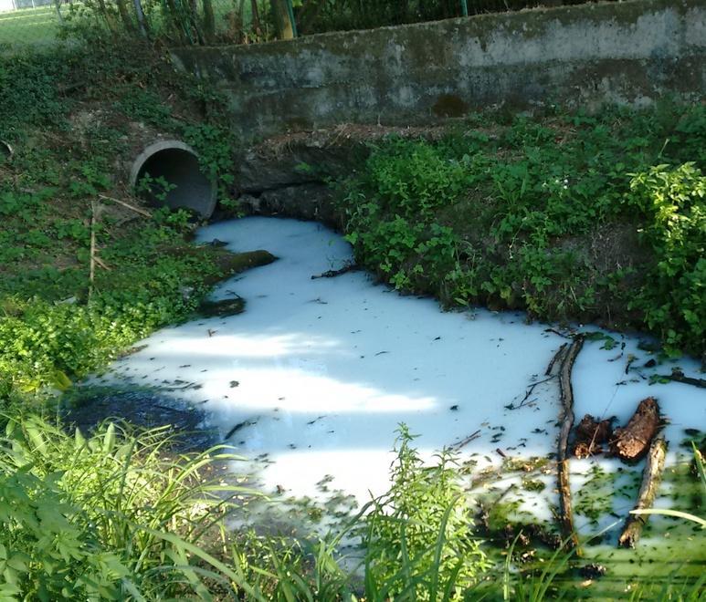 Sversamento di marmettola nel canale della Prada