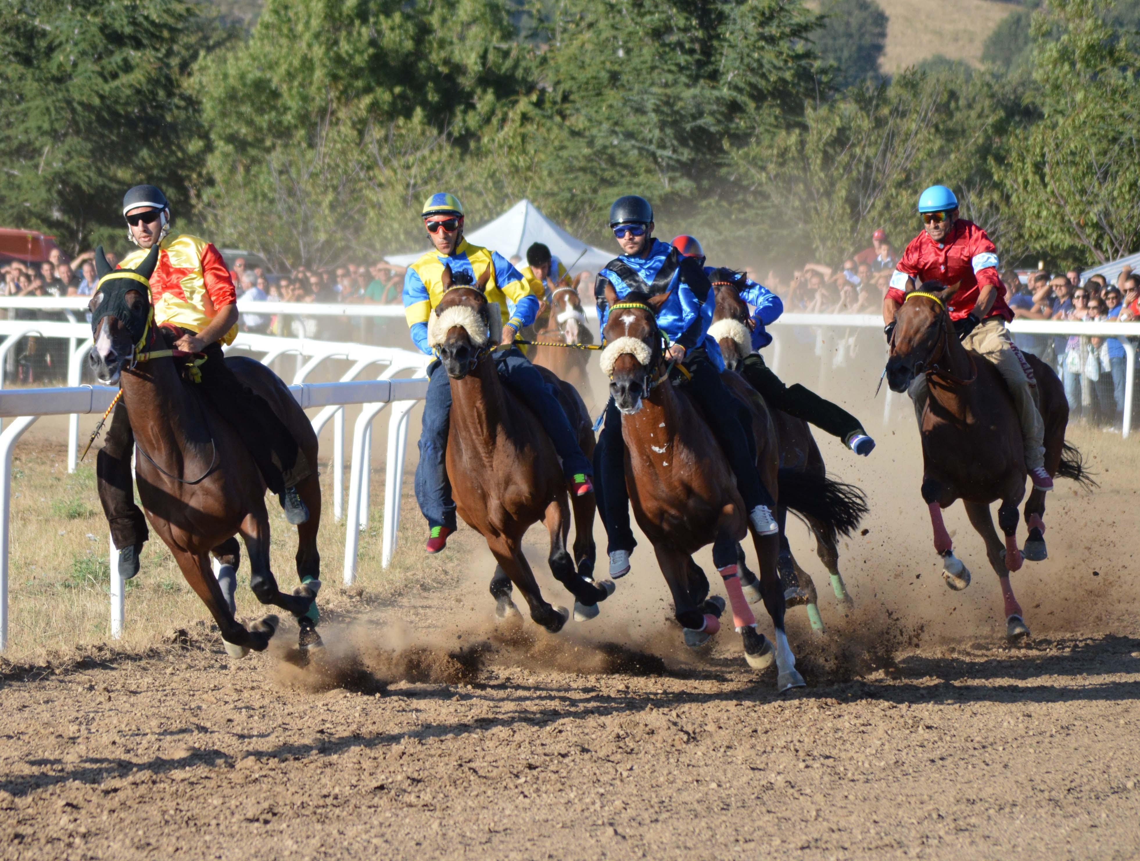 L'edizione scorsa del palio di Fonni