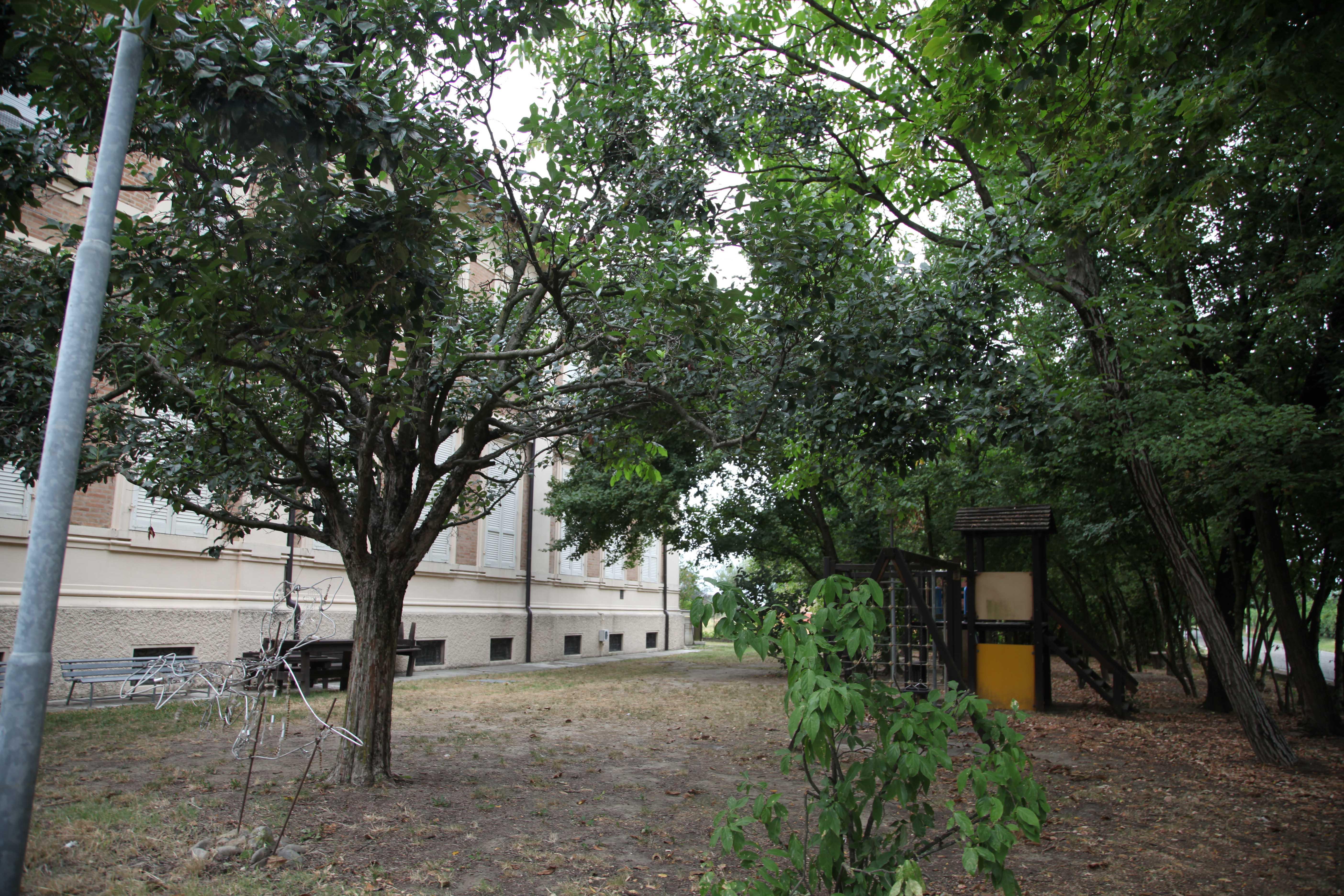 Reggio Emilia, la maestra indagata per maltrattamenti resta in silenzio davanti al giudice 