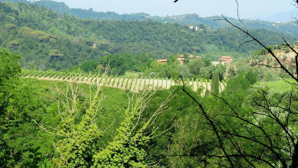La cava di Bucciano è una minaccia per lo sviluppo dell’agriturismo 
