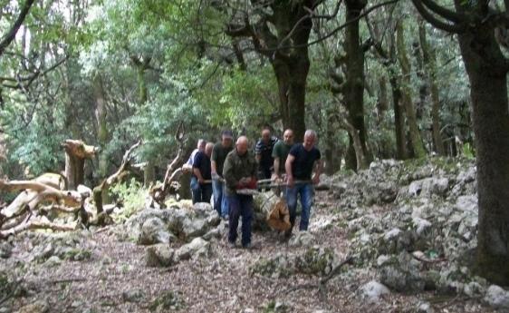 Sinergia contro gli incendi tra Ente foreste e Comune 