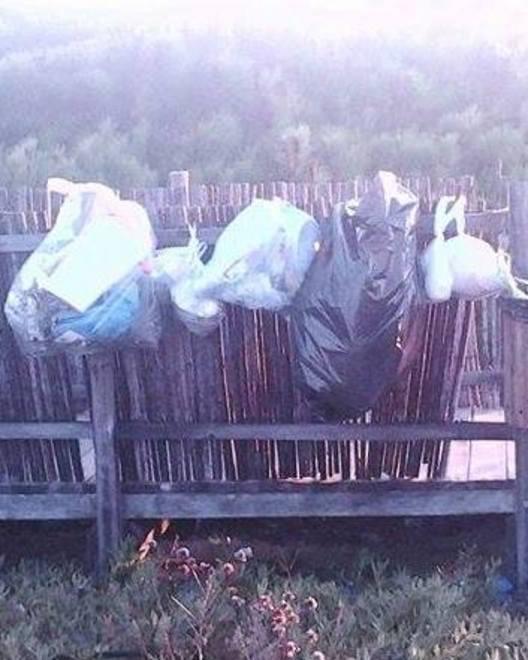 Stangoni: «Vandali e incivili a Badesi, sarà linea dura»