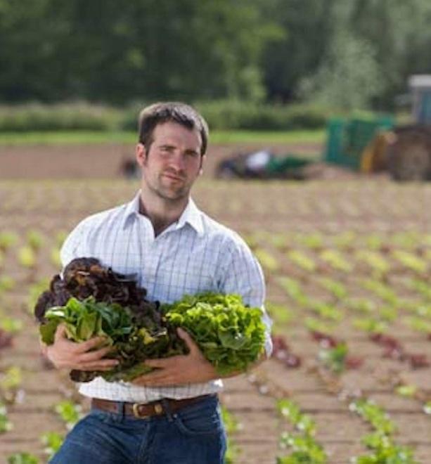 Coltivatori under 40 Gli aiuti regionali per le nuove aziende 