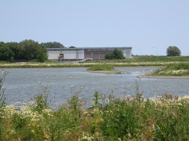 Comacchio, ancora cattivo odore ai Lidi