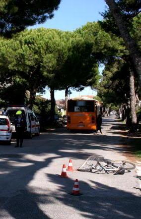 «Troppe radici, mio figlio è caduto» 