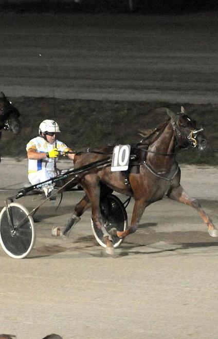 Il premio Nannini nella sera dei Pini 
