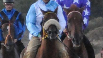 Palio di Fonni spettacolare a sorpresa vince Marrubiu