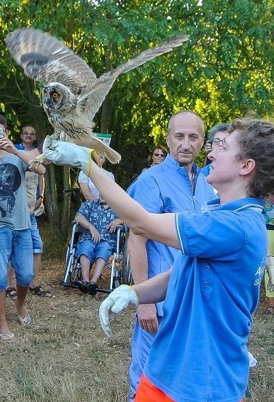 Liberati nella Garzaia tre uccelli rapaci