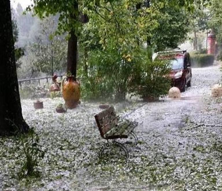 Maxi grandinata e danni ingenti a Castelvetro: in Comune si studiano gli sgravi fiscali 