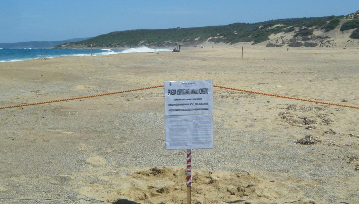 Cartello e delimitazione della spiaggia per gli animali