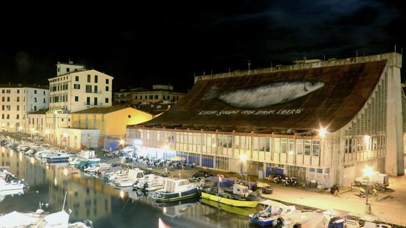 Droga e attività commerciali irregolari: sequestri e multe della Finanza a Effetto Venezia