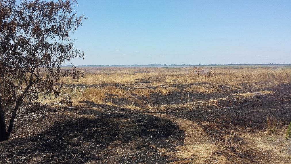 Ferrara, odore di torba bruciata: telefonate ai vigili del fuoco