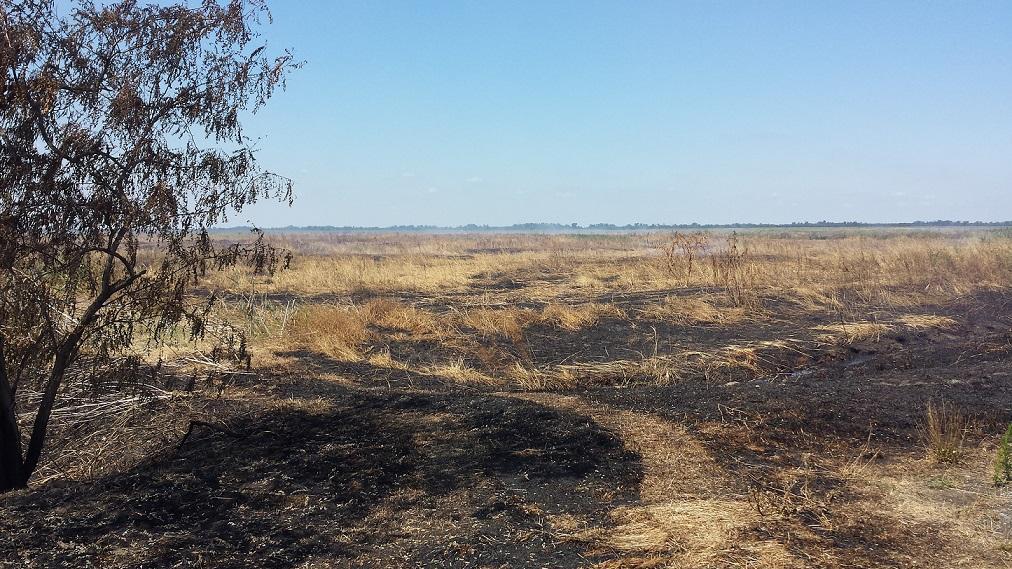 Ferrara, odore di torba bruciata: telefonate ai vigili del fuoco