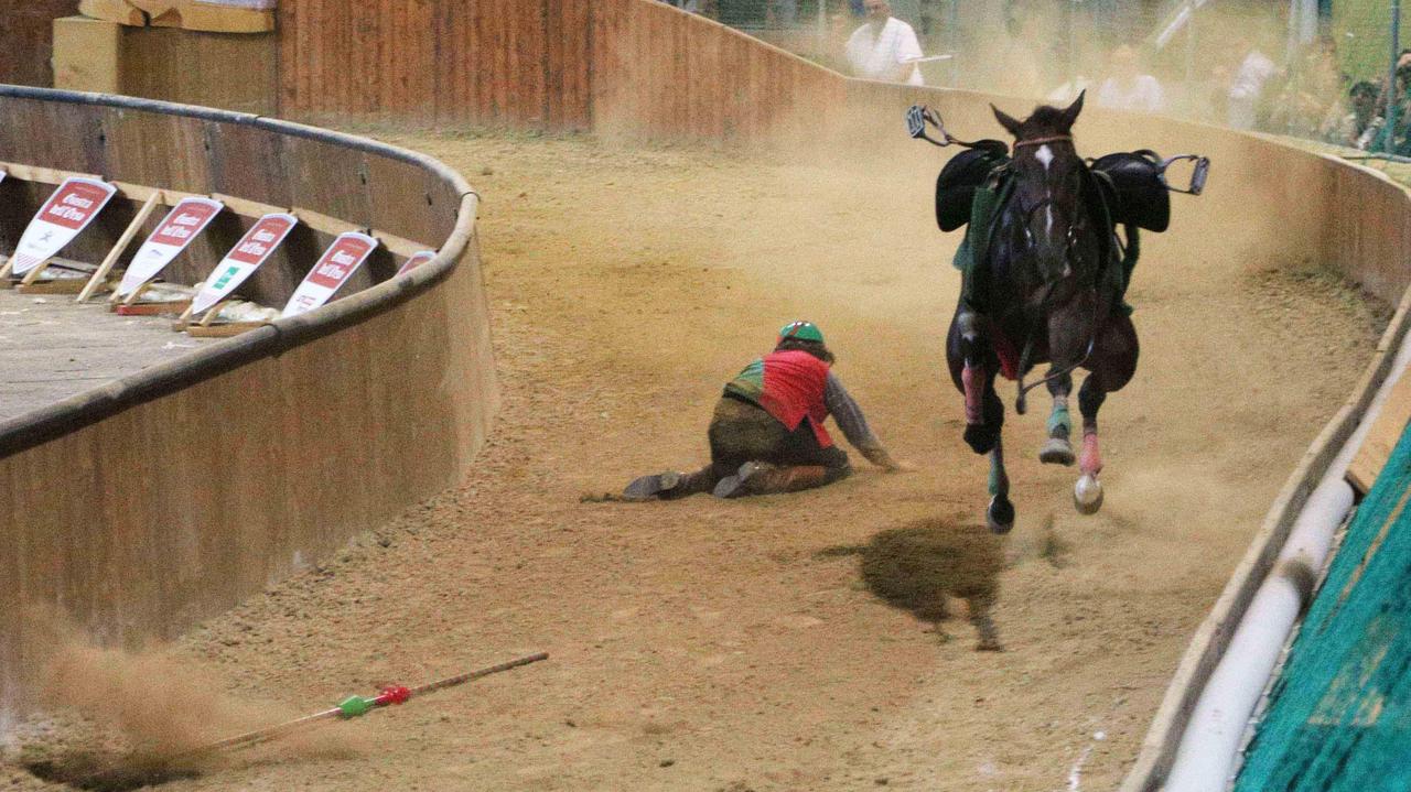 Anche tre veterinari indagati per i cavalli morti nella Giostra 2014